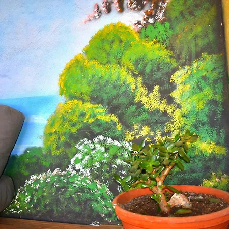 Casa Tizones Santa Cruz de Tenerife